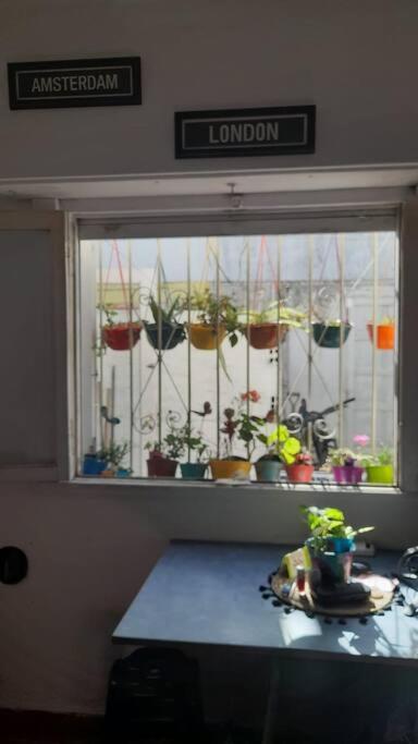 Monoambiente Apartamento
